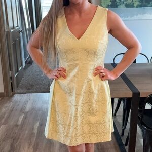 New York & Company Light Mint Lace Mini Dress